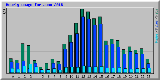 Hourly usage for June 2016