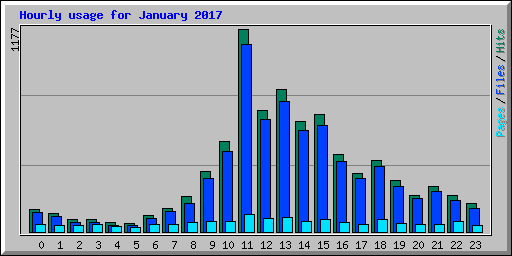 Hourly usage for January 2017