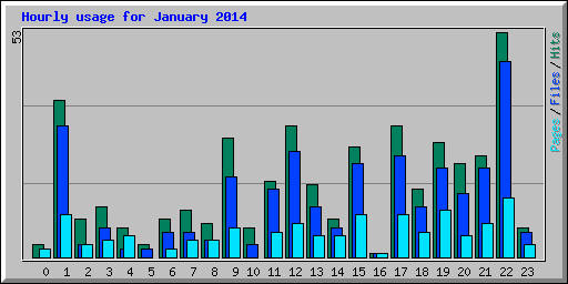 Hourly usage for January 2014