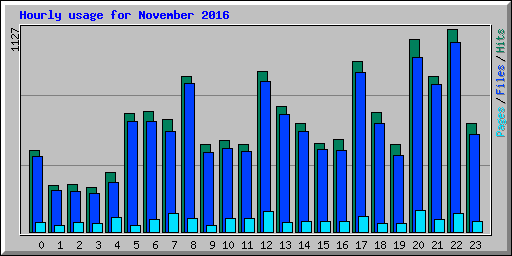 Hourly usage for November 2016