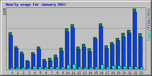 Hourly usage for January 2017